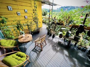 Homestay đà lạt, đặt phòng homestay đà lạt, gió homestay đà lạt