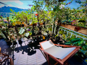 homestay đà lạt, cách chọn homestay đà lạt, gió homestay đà lạt